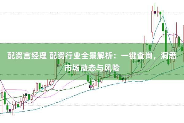 配资言经理 配资行业全景解析：一键查询，洞悉市场动态与风险