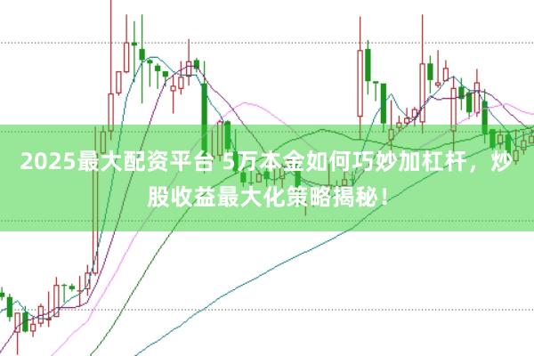 2025最大配资平台 5万本金如何巧妙加杠杆，炒股收益最大化策略揭秘！