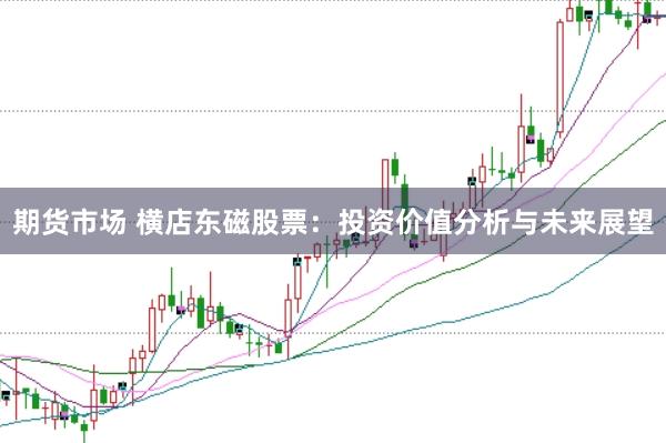 期货市场 横店东磁股票：投资价值分析与未来展望