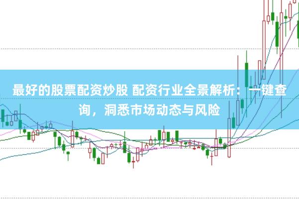 最好的股票配资炒股 配资行业全景解析：一键查询，洞悉市场动态与风险