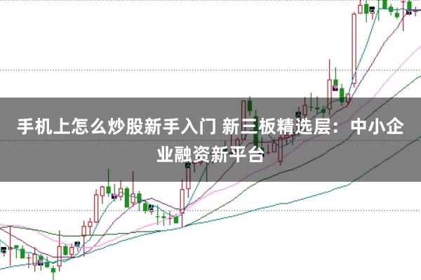 手机上怎么炒股新手入门 新三板精选层：中小企业融资新平台