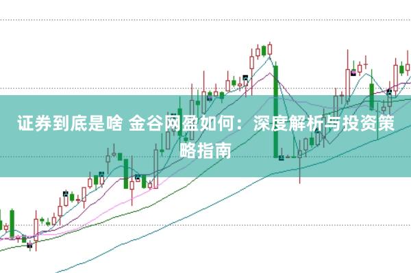 证券到底是啥 金谷网盈如何：深度解析与投资策略指南
