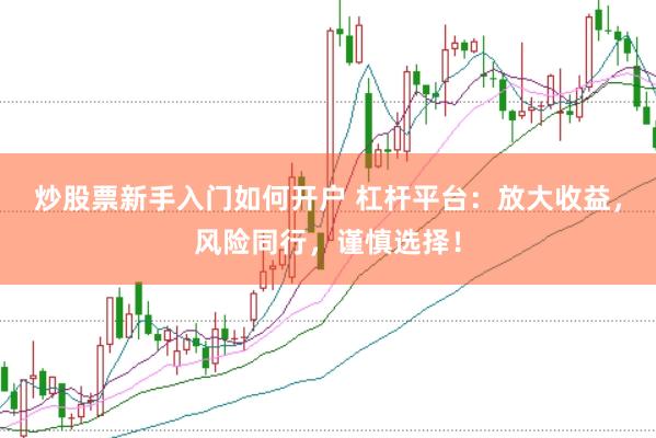 炒股票新手入门如何开户 杠杆平台：放大收益，风险同行，谨慎选择！
