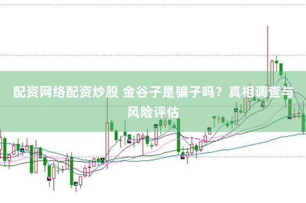配资网络配资炒股 金谷子是骗子吗？真相调查与风险评估