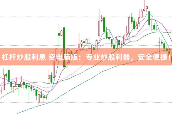 杠杆炒股利息 资电脑版：专业炒股利器，安全便捷！