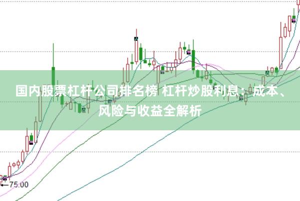 国内股票杠杆公司排名榜 杠杆炒股利息：成本、风险与收益全解析