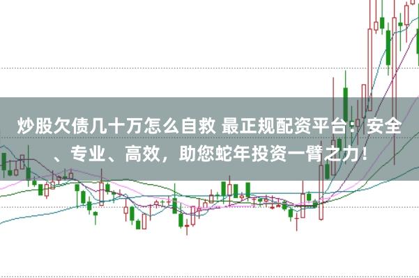 炒股欠债几十万怎么自救 最正规配资平台：安全、专业、高效，助您蛇年投资一臂之力！