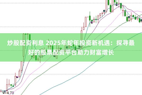 炒股配资利息 2025年蛇年投资新机遇：探寻最好的股票配资平台助力财富增长