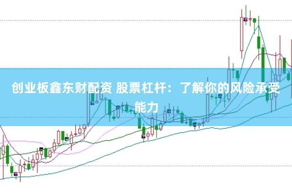 创业板鑫东财配资 股票杠杆：了解你的风险承受能力