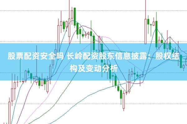 股票配资安全吗 长岭配资股东信息披露：股权结构及变动分析