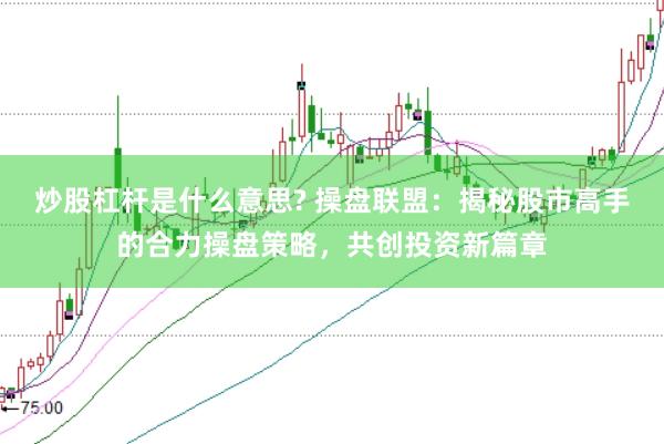 炒股杠杆是什么意思? 操盘联盟：揭秘股市高手的合力操盘策略，共创投资新篇章