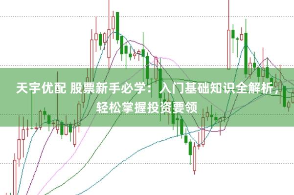 天宇优配 股票新手必学：入门基础知识全解析，轻松掌握投资要领