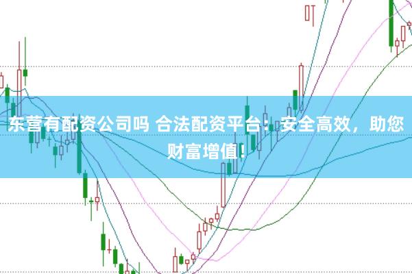 东营有配资公司吗 合法配资平台：安全高效，助您财富增值！