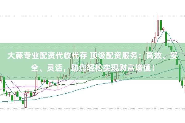 大蒜专业配资代收代存 顶级配资服务：高效、安全、灵活，助您轻松实现财富增值！