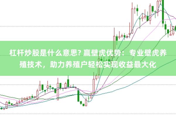 杠杆炒股是什么意思? 赢壁虎优势：专业壁虎养殖技术，助力养殖户轻松实现收益最大化