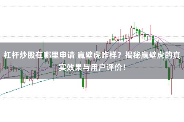 杠杆炒股在哪里申请 赢壁虎咋样？揭秘赢壁虎的真实效果与用户评价！