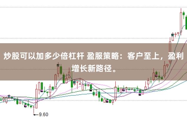 炒股可以加多少倍杠杆 盈服策略：客户至上，盈利增长新路径。