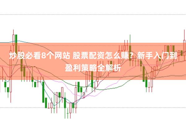炒股必看8个网站 股票配资怎么赚？新手入门到盈利策略全解析