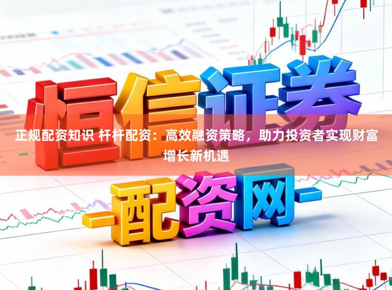 正规配资知识 杆杆配资：高效融资策略，助力投资者实现财富增长新机遇